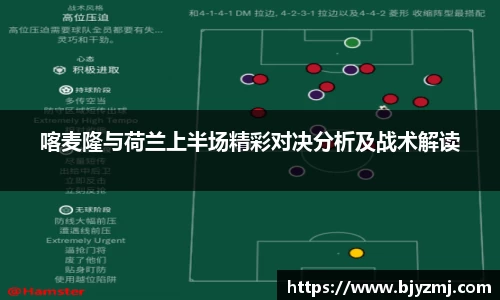 喀麦隆与荷兰上半场精彩对决分析及战术解读